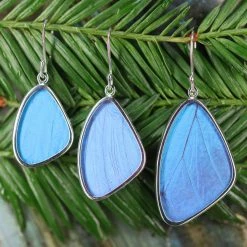 Third Eye Pinecones Accessories Blue Morpho Butterfly Wing Earrings