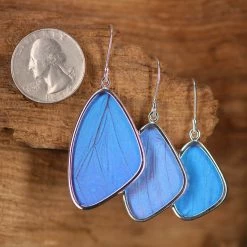 Third Eye Pinecones Accessories Blue Morpho Butterfly Wing Earrings