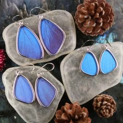 Third Eye Pinecones Accessories Blue Morpho Butterfly Wing Earrings