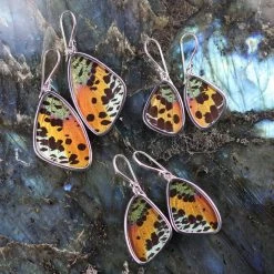 Third Eye Pinecones Sunset Moth Butterfly Wing Earrings Accessories
