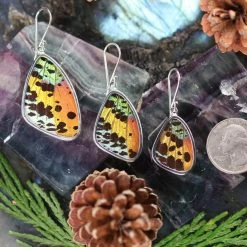 Third Eye Pinecones Sunset Moth Butterfly Wing Earrings Accessories