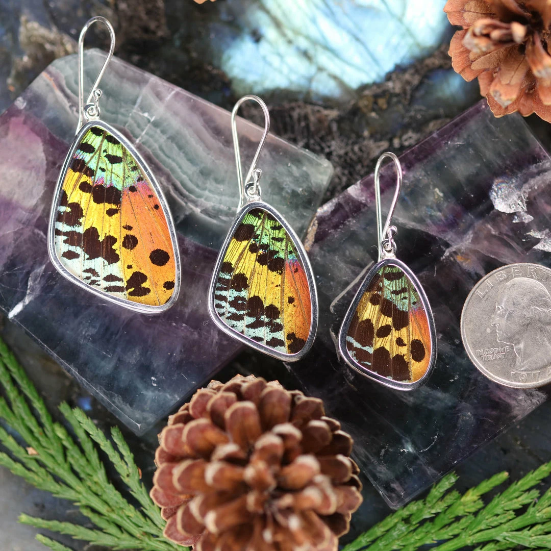 Third Eye Pinecones Sunset Moth Butterfly Wing Earrings Accessories 4 Third Eye Pinecones Sunset Moth Butterfly Wing Earrings Accessories