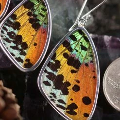 Third Eye Pinecones Sunset Moth Butterfly Wing Earrings Accessories 9 Third Eye Pinecones Sunset Moth Butterfly Wing Earrings Accessories