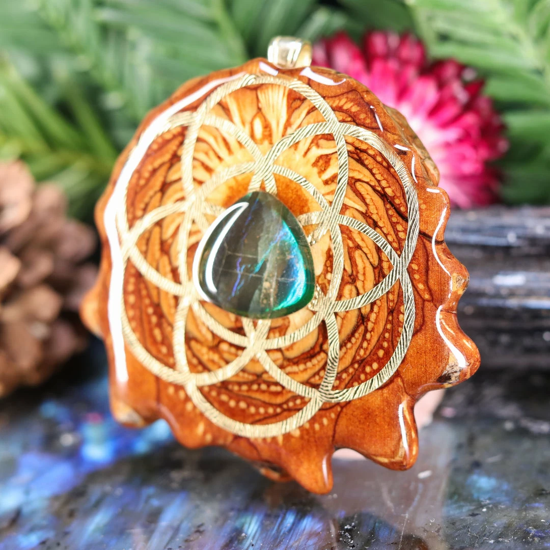 TEP Pendants Ammolite With Gold Seed Of Life And Back Om 4 TEP Pendants Ammolite With Gold Seed Of Life And Back Om