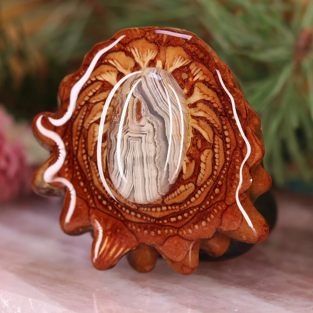 TEP Crazy Lace Agate 4 TEP Crazy Lace Agate