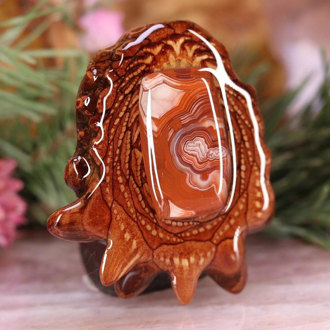 TEP Crazy Lace Agate Pendants 5 TEP Crazy Lace Agate Pendants