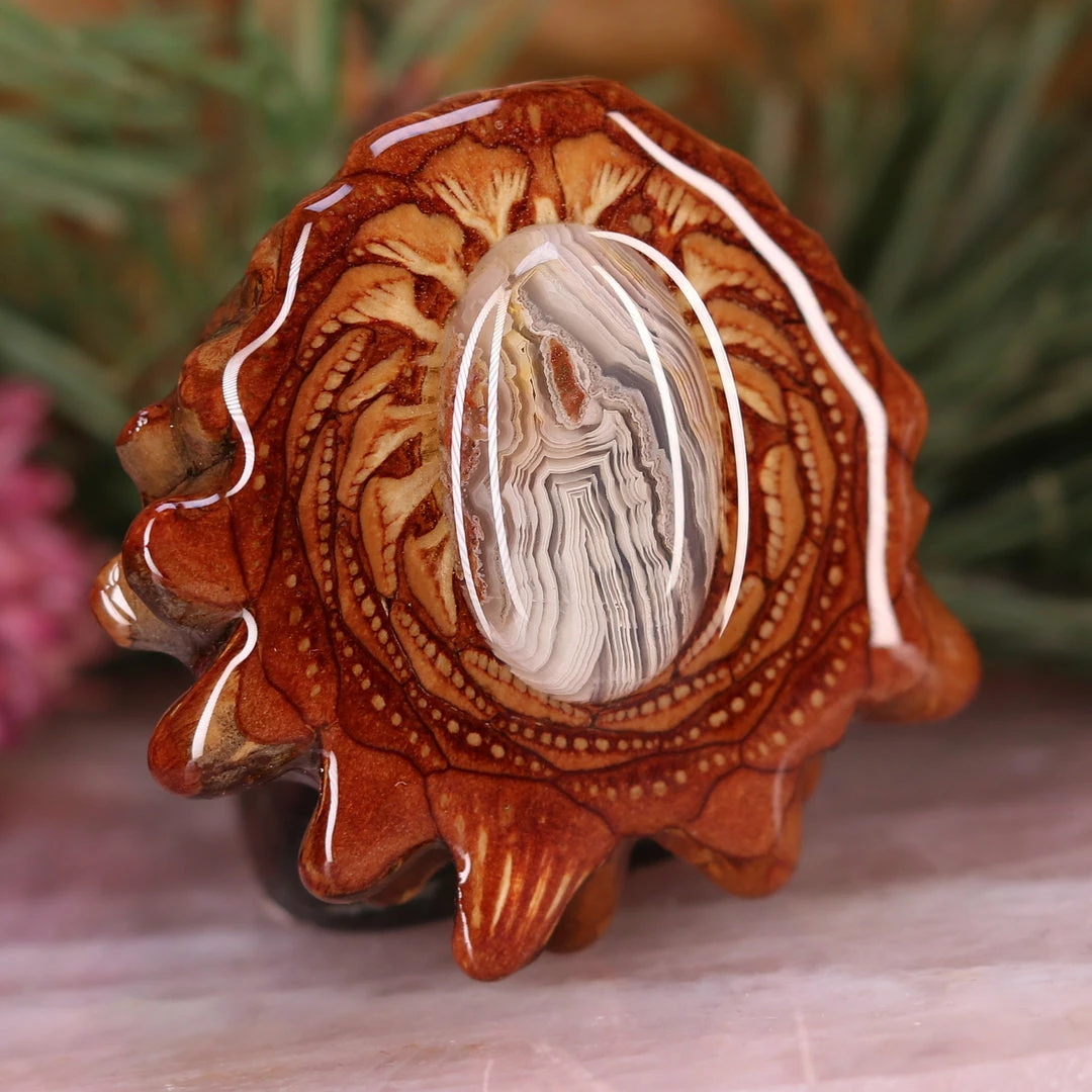 TEP Crazy Lace Agate 5 TEP Crazy Lace Agate