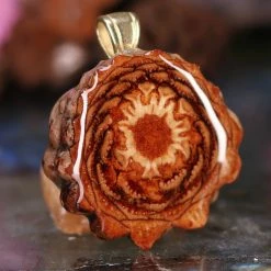 TEP Natural Pendants