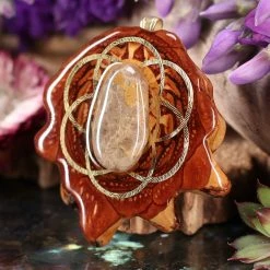 TEP Pendants Petoskey Stone W Gold Seed Of Life And Back Om