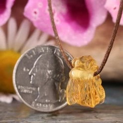 Third Eye Pinecones Amber Bee Necklace
