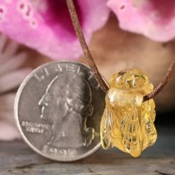 Third Eye Pinecones Amber Bee Necklace