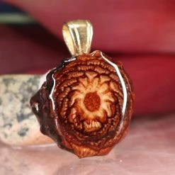 TEP Natural Pendants