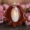 TEP Pendants Moonstone