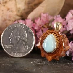 TEP Larimar