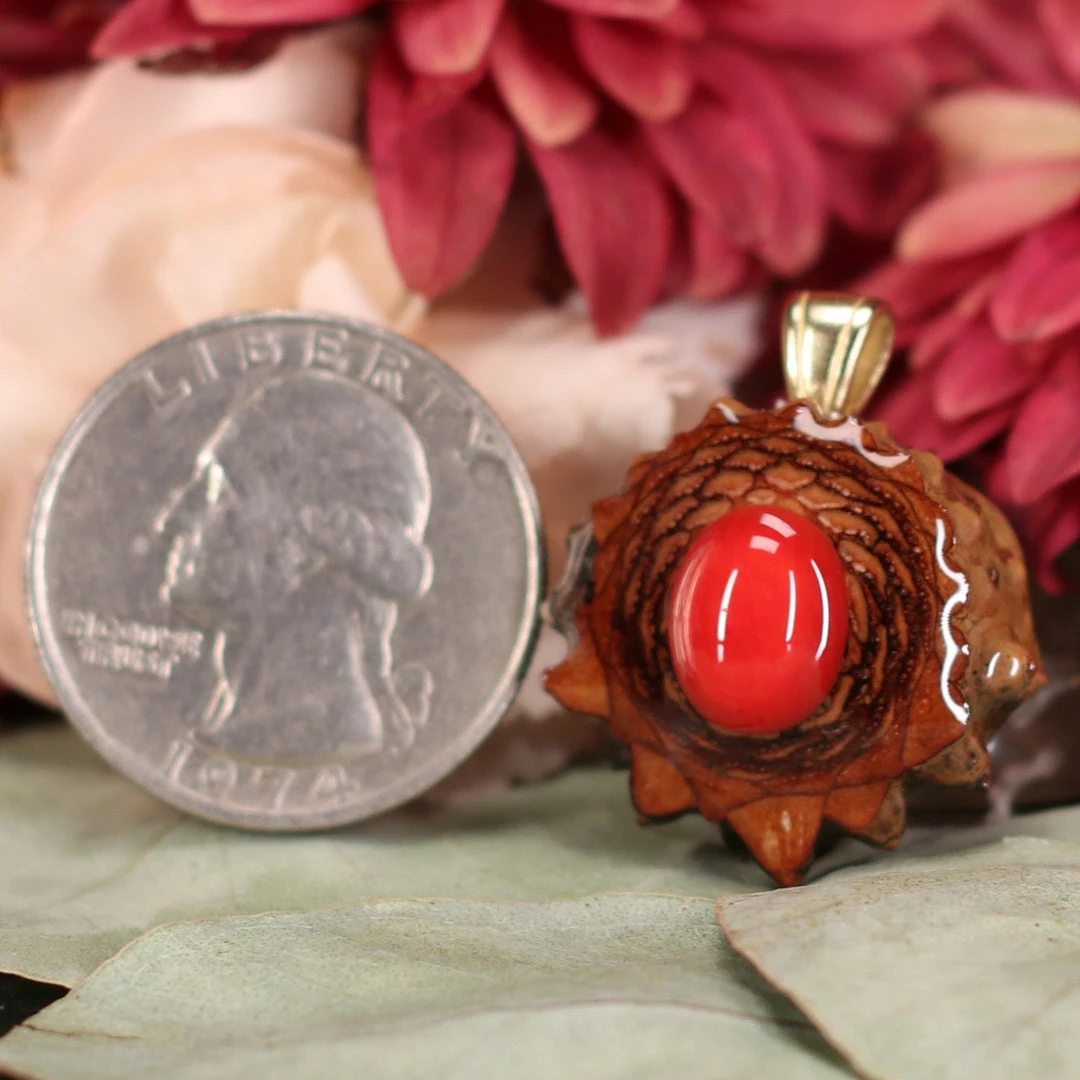 TEP Red Coral 4 TEP Red Coral