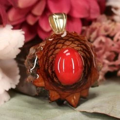 TEP Red Coral 7 TEP Red Coral