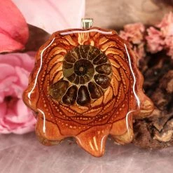 TEP Pendants Ammonite