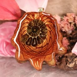 TEP Pendants Ammonite