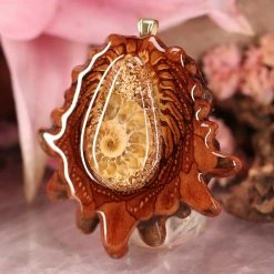 TEP Orgonite With Ammonite