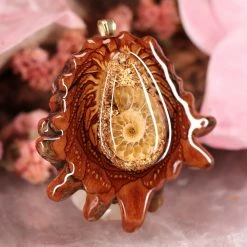 TEP Orgonite With Ammonite