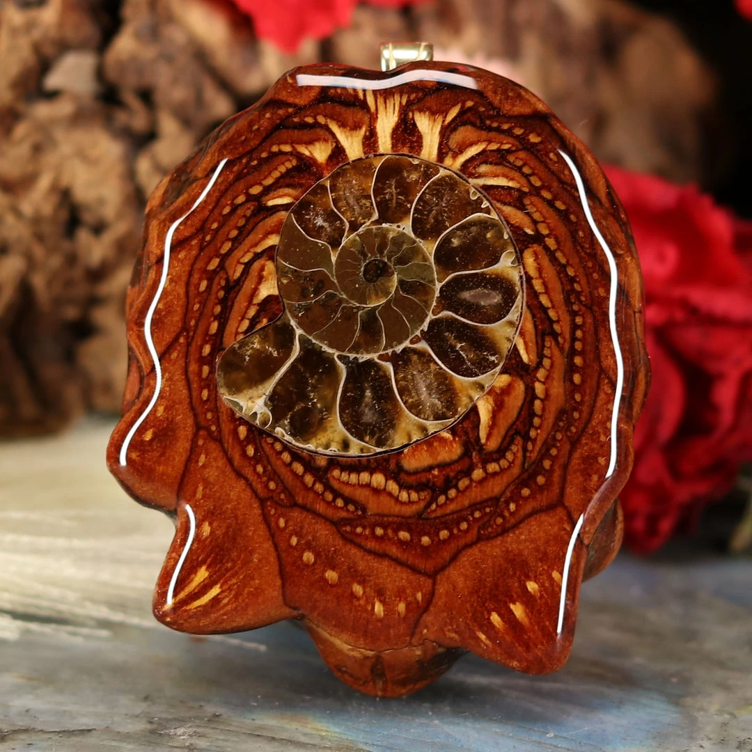 TEP Ammonite 3 TEP Ammonite