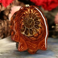 TEP Ammonite 7 TEP Ammonite