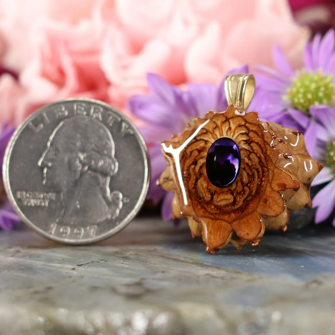 TEP Purple Paua Shell 4 TEP Purple Paua Shell