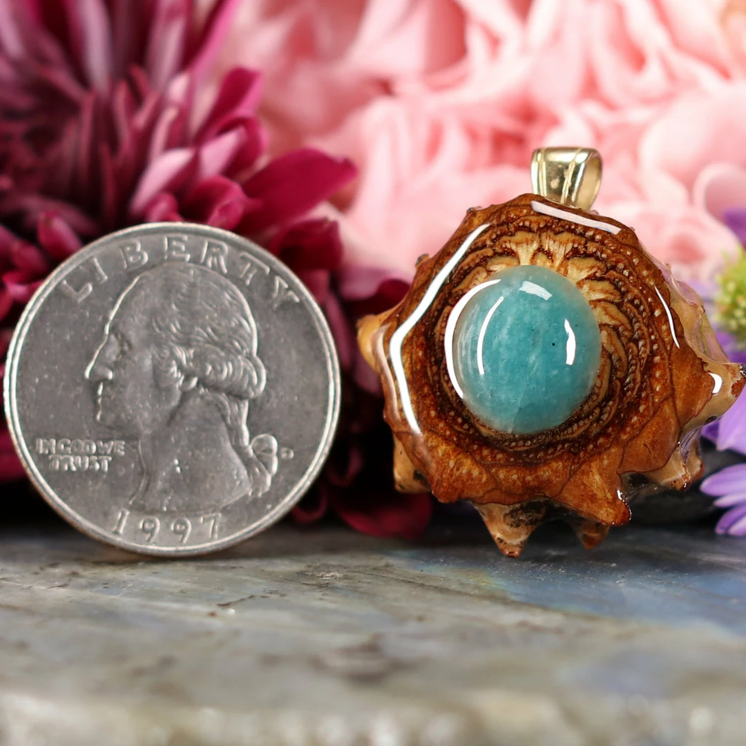 TEP Amazonite 4 TEP Amazonite