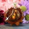 TEP Mexican Fire Agate Pendants