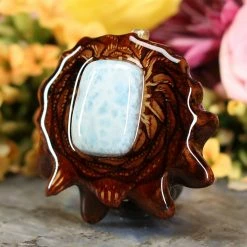 TEP Larimar