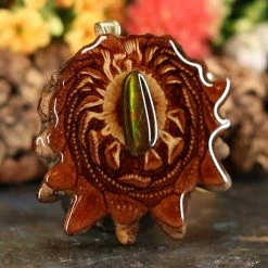 TEP Ammolite 7 TEP Ammolite