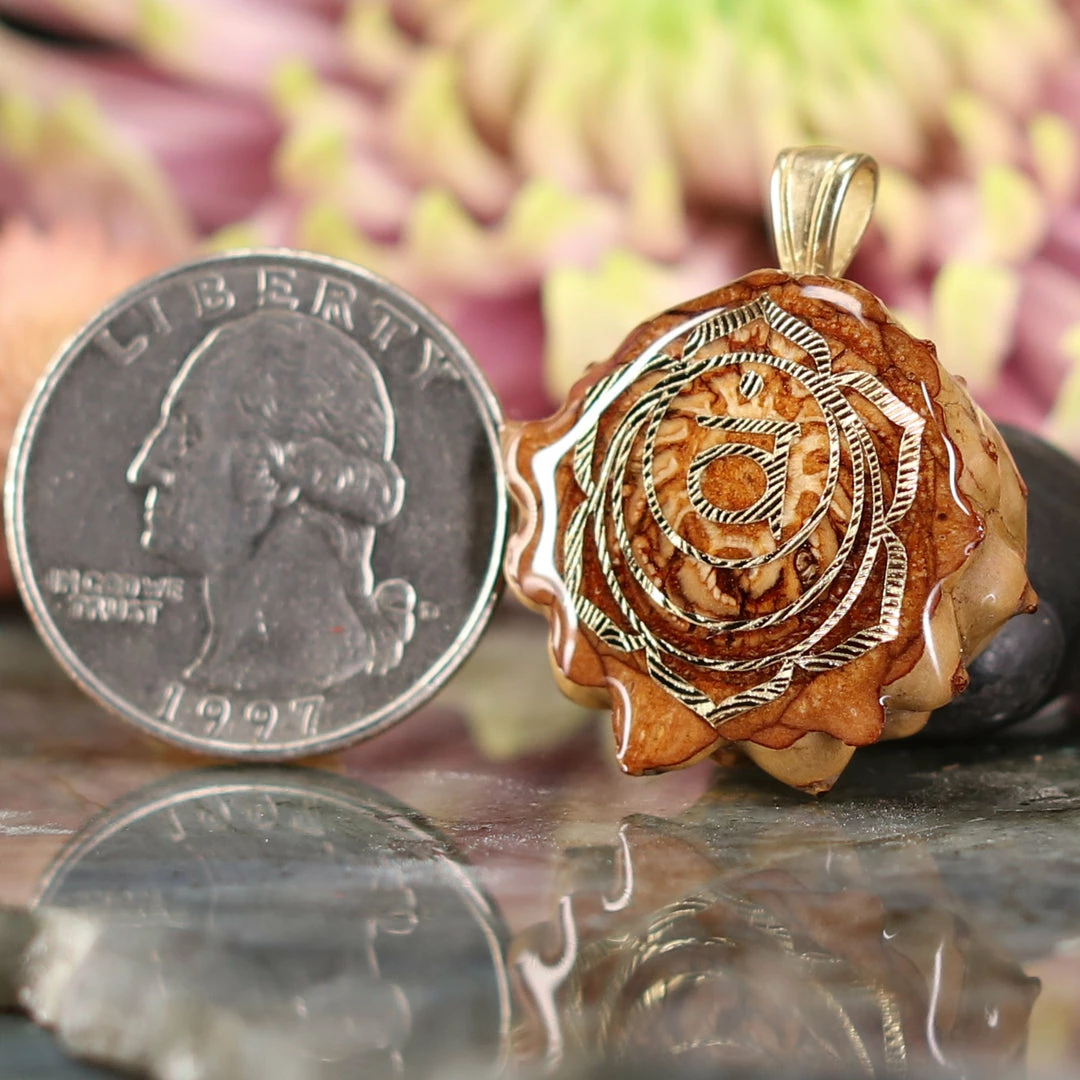 TEP Natural With Gold Sacral (2nd) Chakra Pendants 4 TEP Natural With Gold Sacral (2nd) Chakra Pendants