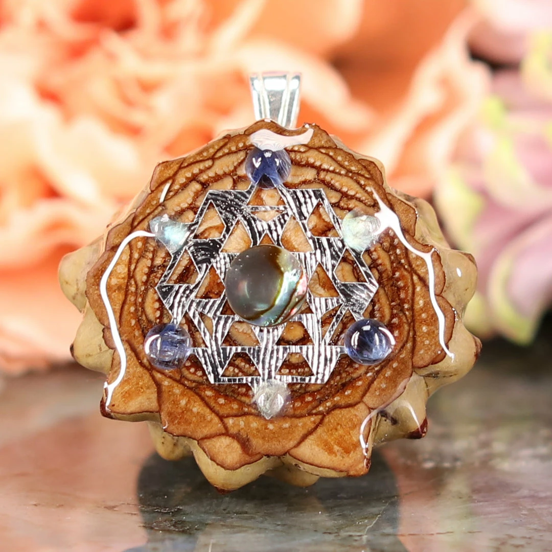 TEP Abalone Shell With Silver 64 Star Tetrahedron Multi-Stone Pendants 3 TEP Abalone Shell With Silver 64 Star Tetrahedron Multi-Stone Pendants
