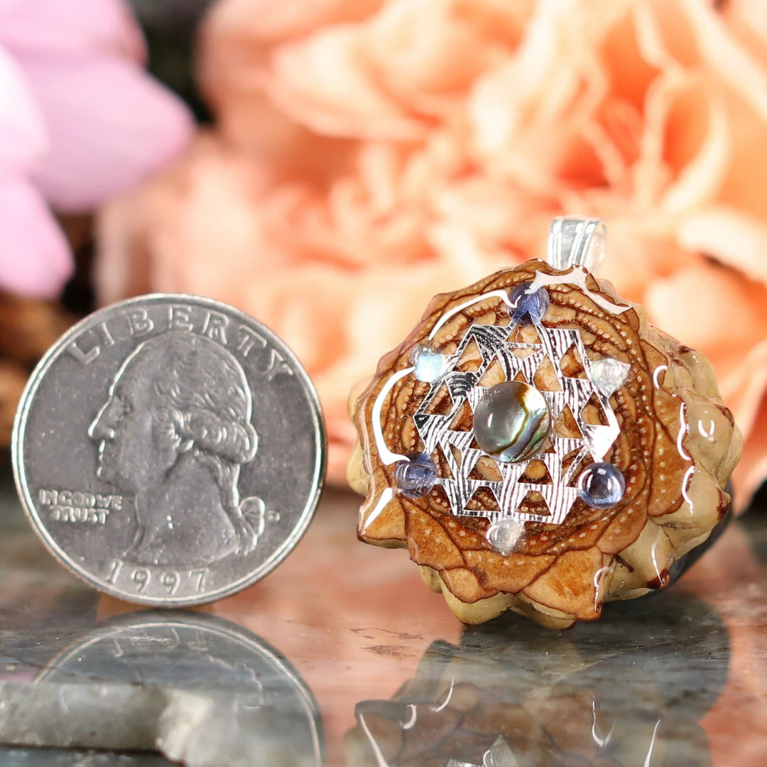 TEP Abalone Shell With Silver 64 Star Tetrahedron Multi-Stone Pendants 4 TEP Abalone Shell With Silver 64 Star Tetrahedron Multi-Stone Pendants