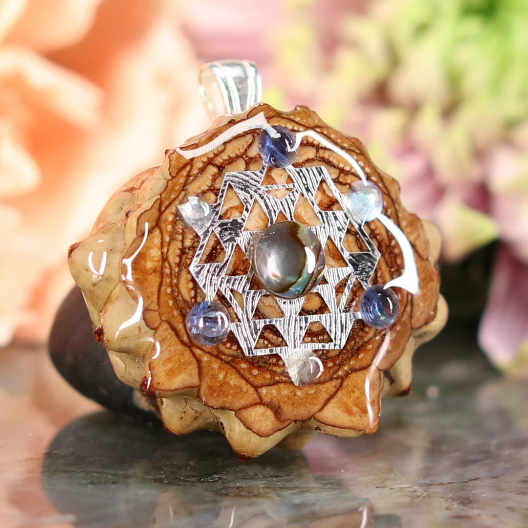 TEP Abalone Shell With Silver 64 Star Tetrahedron Multi-Stone Pendants 5 TEP Abalone Shell With Silver 64 Star Tetrahedron Multi-Stone Pendants