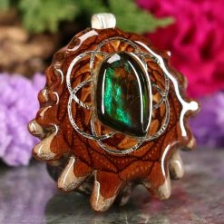 TEP Ammolite With Silver Seed Of Life And Back Om 7 TEP Ammolite With Silver Seed Of Life And Back Om