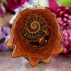 TEP Pendants Ammonite With Back Om
