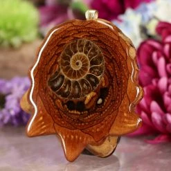 TEP Pendants Ammonite With Back Om