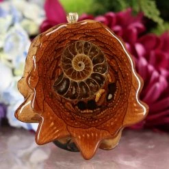 TEP Pendants Ammonite With Back Om