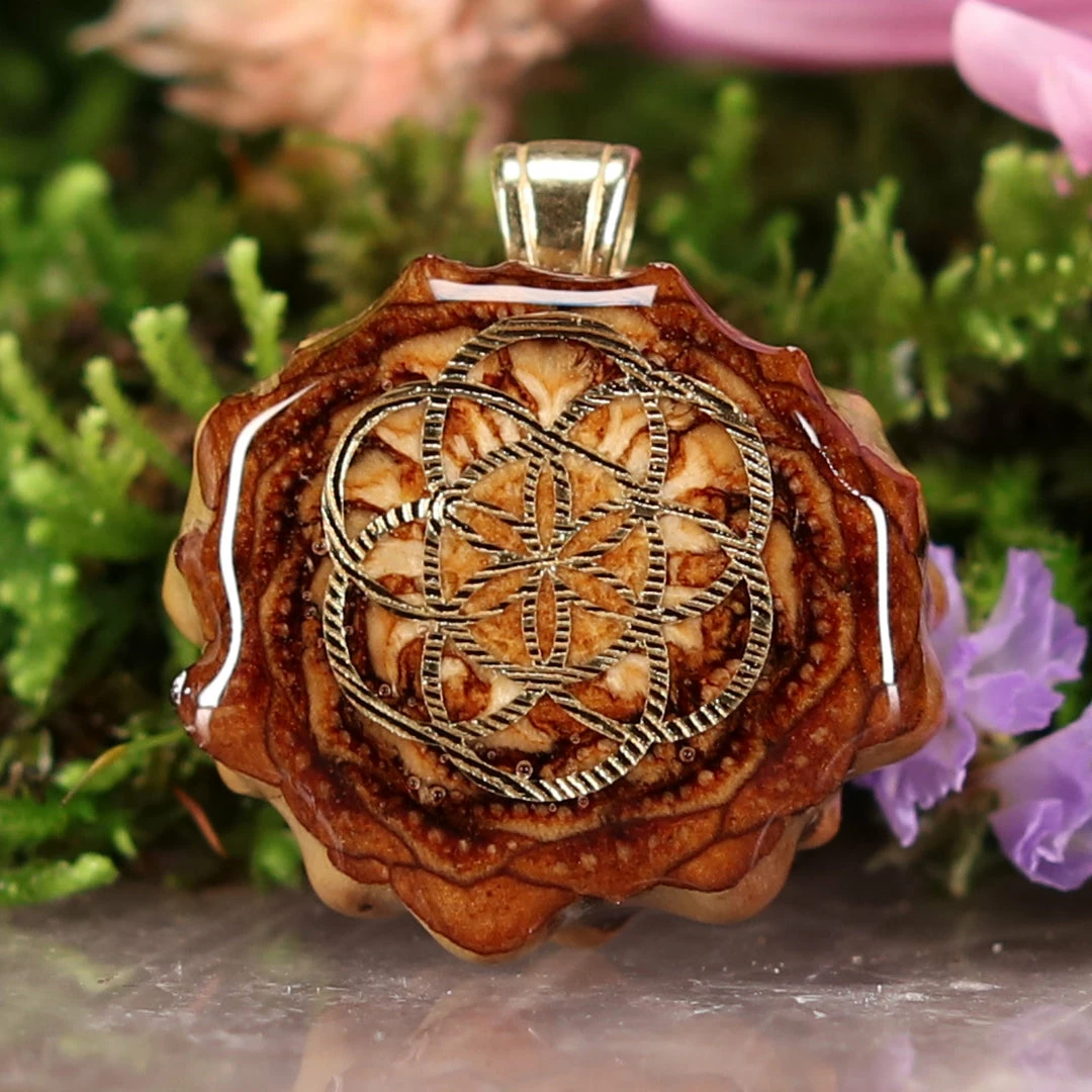 TEP Natural With Gold Seed Of Life Pendants 3 TEP Natural With Gold Seed Of Life Pendants