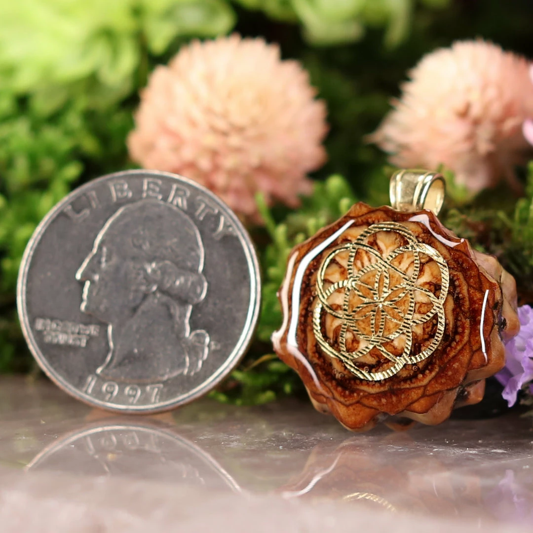 TEP Natural With Gold Seed Of Life Pendants 4 TEP Natural With Gold Seed Of Life Pendants