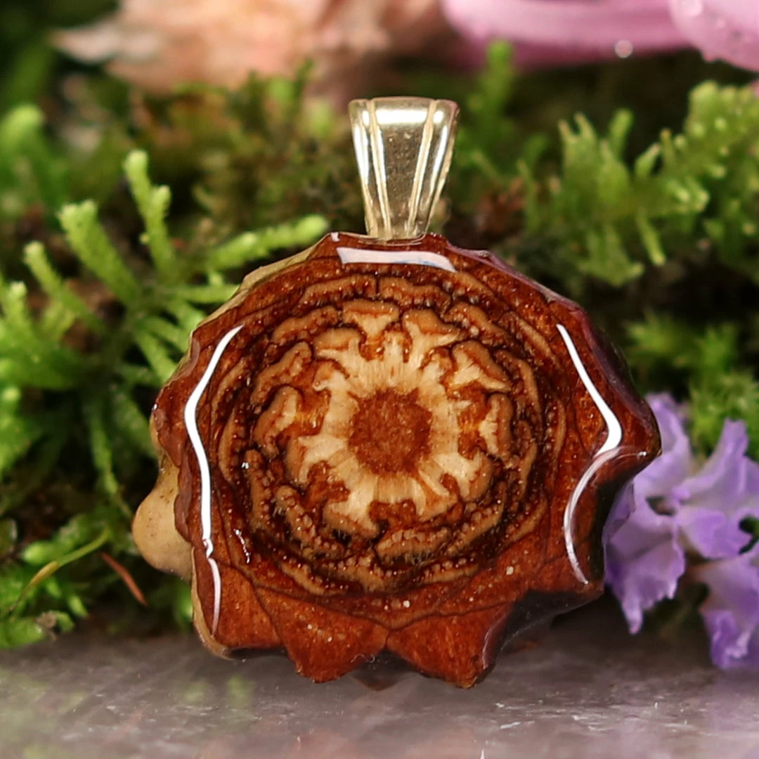 TEP Pendants Natural 3 TEP Pendants Natural