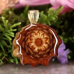 TEP Pendants Natural 7 TEP Pendants Natural