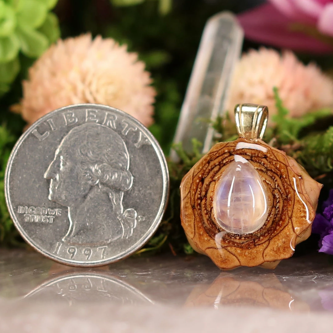 TEP Pendants Moonstone 4 TEP Pendants Moonstone