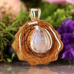 TEP Pendants Moonstone 7 TEP Pendants Moonstone