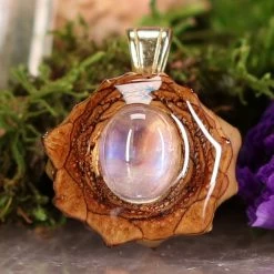 TEP Pendants Moonstone