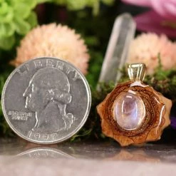 TEP Pendants Moonstone