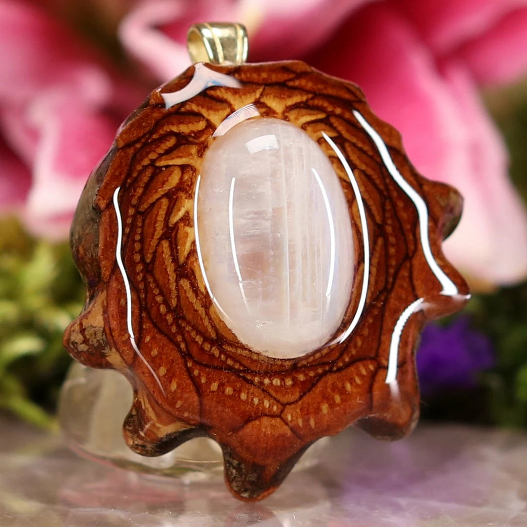 TEP Pendants Moonstone 5 TEP Pendants Moonstone