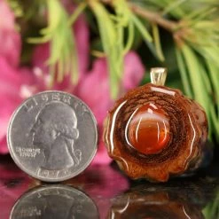 TEP Pendants Carnelian 6 TEP Pendants Carnelian