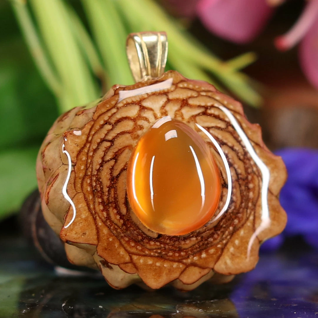 TEP Carnelian 5 TEP Carnelian